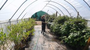 Lathallan School Farm and Polytunnel