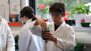 Students studying environmental science at Lathallan School